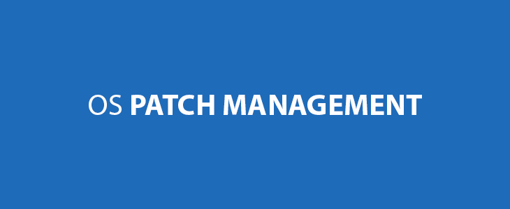 Learn How To Use OS Patch Management Software
