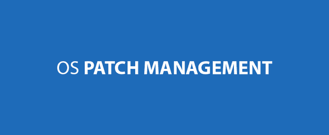 Learn How To Use OS Patch Management Software